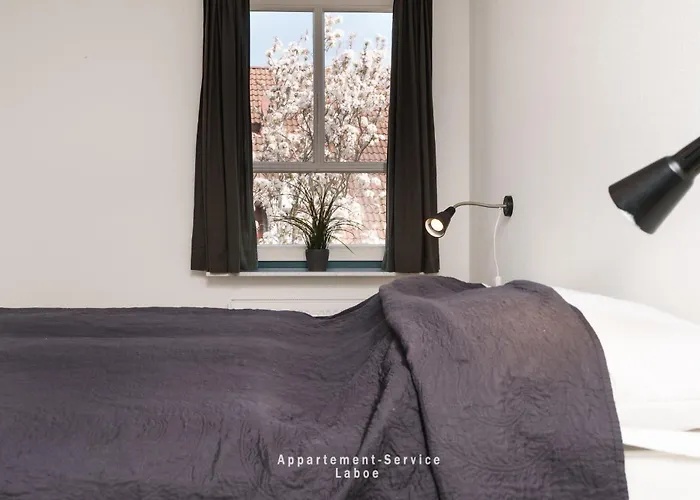 8 Palstek * 라보에